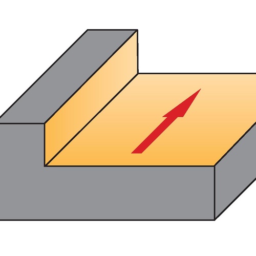 TP_2005_Pictogram.jpg