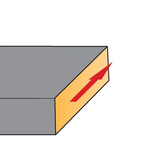 TP_2024_Pictogram.jpg