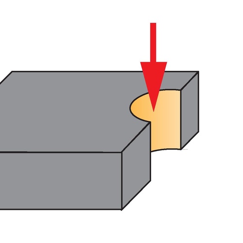 TP_2025_Pictogram.jpg
